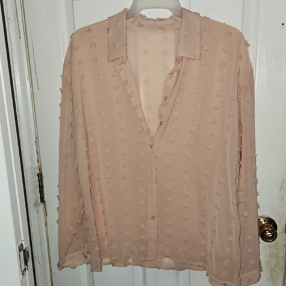 Elegant Sheer Blouse in Blush Pink